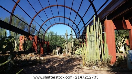 Desert Botanical Garden Phoenix Arizona
