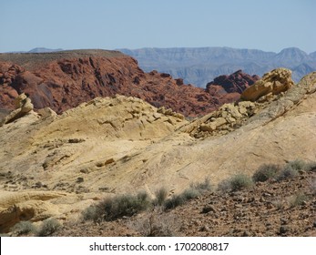 Desert Brush With Vibrant Background Valley Of Fire State Park