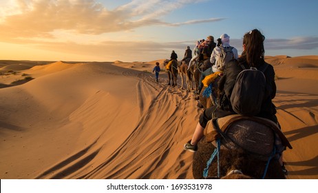 Desert Camel Trek With A Sunset And A Berber