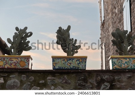 Desert Chic: Artfully Decorated Cactus Trio Against a Historic Sunset