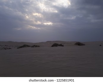 desert close up