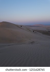 desert close up