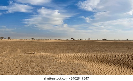 Desert, cloudy sky, small trees