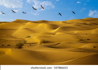 Desert - Colourful Patterns & Sky Is Visible Behind With Birds