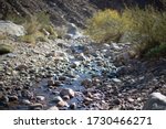 Desert creek in Anza Borrego State Park, Palm Canyon