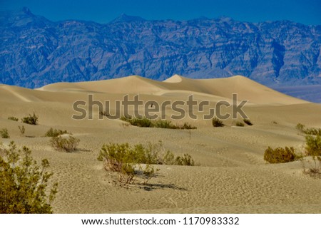 Desert at DeathValley