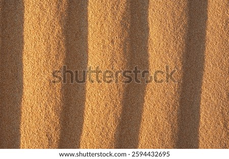 Desert Dune Texture Close Up. Sand texture. Desert surface detail.