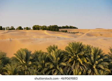 Desert dunes in Liwa oasis, Abu Dhabi, United Arab Emirates - Powered by Shutterstock