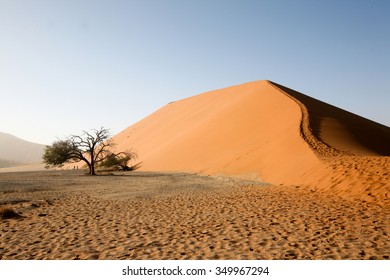 Desert Dunes In Namibia