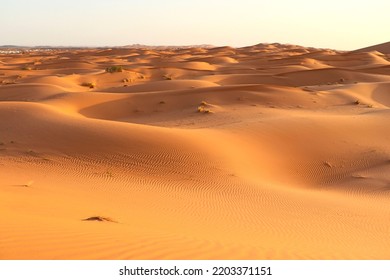 Desert Dunes Sahara Desert Morocco 