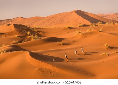 Desert Dunes, Sossusvlei, Namibia