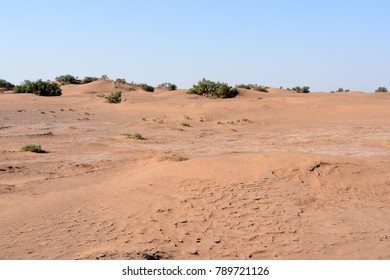 Desert Erg Chebbi In Morocco