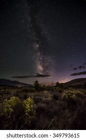 Desert Flora Night Sky With Beautiful Milky Way Great Sand Dunes Colorado USA Vertical 