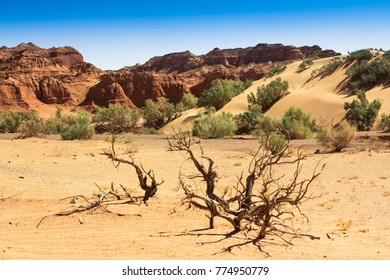 desert gobi canyon