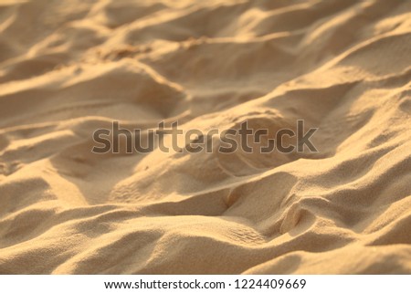 Desert Golden Morning Landscape.Use for website / banner background, backdrop, montage menu
