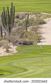 Desert Golf Course Green In Baja California