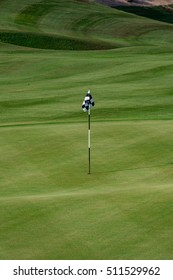 Desert Golf Course Green In Baja California