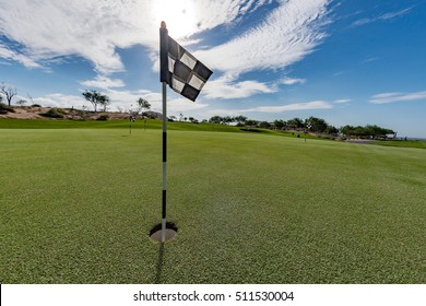 Desert Golf Course Green In Baja California