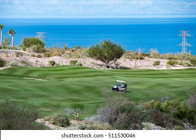 Desert Golf Course Green In Baja California