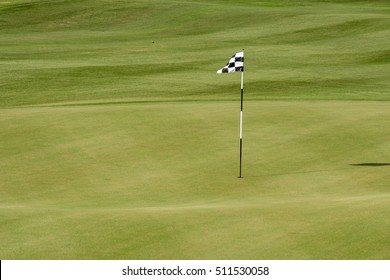 Desert Golf Course Green In Baja California