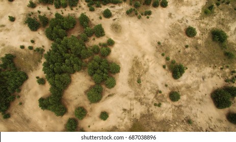 Desert And Green Bushes