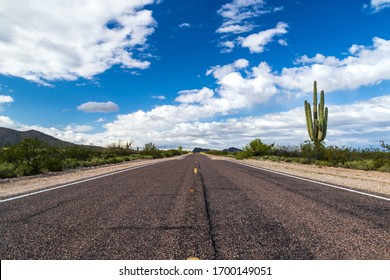 Desert Highway In Arizona, Leading Into The Horizon. Saguaro Cactus On Side Of The Road. Blue Sky And Clouds Overhead. 
