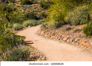 Desert Hiking Trail Near Fountain Hills, Arizona