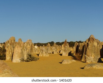 desert landscape