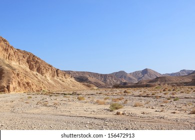 Desert Landscape - Powered by Shutterstock