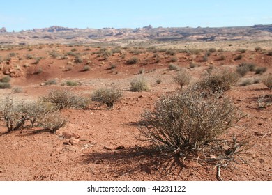 Desert Landscape