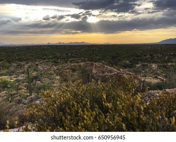 Desert Landscape