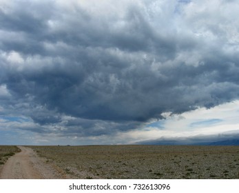 Desert landscape