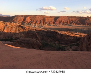Desert landscape