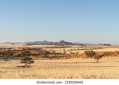 15,688 Red Acacia Tree Images, Stock Photos & Vectors | Shutterstock