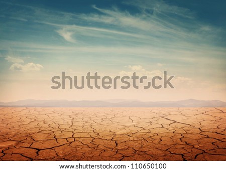 The arid desert landscape of the Big Bend National Park with the Chisos Mountains in the background