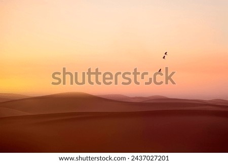 Desert landscape with a beautiful shiney view and having a bird's make it more attractive...