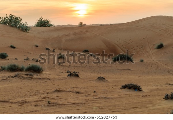 Desert landscape in Dubai\'s\
safari