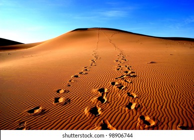 Desert landscape of gobi desert with footprint in the sand, Mongolia