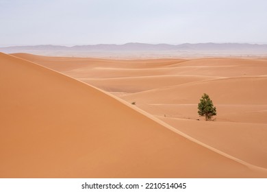 Desert Landscape. Merzouga Desert, The Door To Sahara, In Morocco.

Desert Dunes. Africa Landscape Background. Travels Backgrounds.