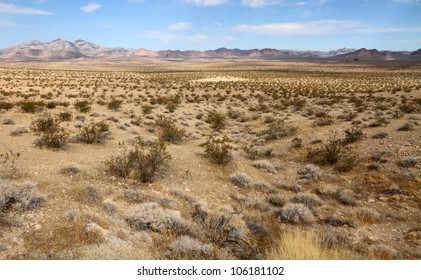 Desert Landscape (Mojave Desert)