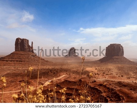 Desert landscape with rock formations and sparse vegetation. Monument valley