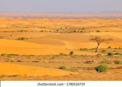 Desert Landscape With Sand Dunes, Route From Atar To Tidjikja, Adrar Region, Mauritania
