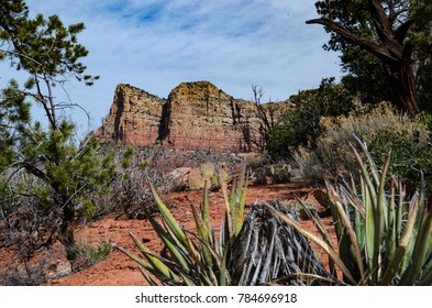 Desert Landscape In Sedona, Arizona With Plants In Foreground And Rock Formation In Background Against Blue Sky With Wispy Clouds