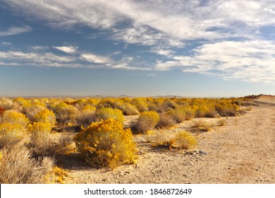 Desert Landscape Southern California Stock Photo 1846872649 | Shutterstock