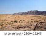 A desert landscape with sparse bushes all the way to the horizon. In the distance, small rocky mountains can be seen under the blue sky. Hot climate and dehydration