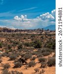 Desert landscape with sparse vegetation and distant rock formations under a blue sky with scattered clouds in Arches National Park.