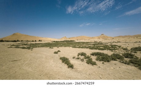 Desert landscape with sparse vegetation and distant hills under a clear blue sky.