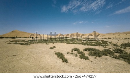 Desert landscape with sparse vegetation and distant hills under a clear blue sky.