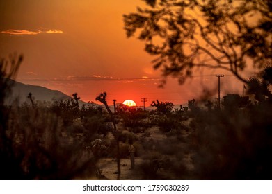 Desert Landscape Sunset In California 