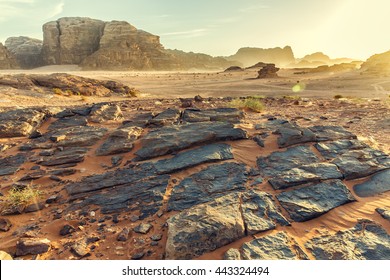 Desert Landscape of Wadi Rum in Jordan, with a sunset, stones, bushes and the sky. - Shutterstock ID 443324494